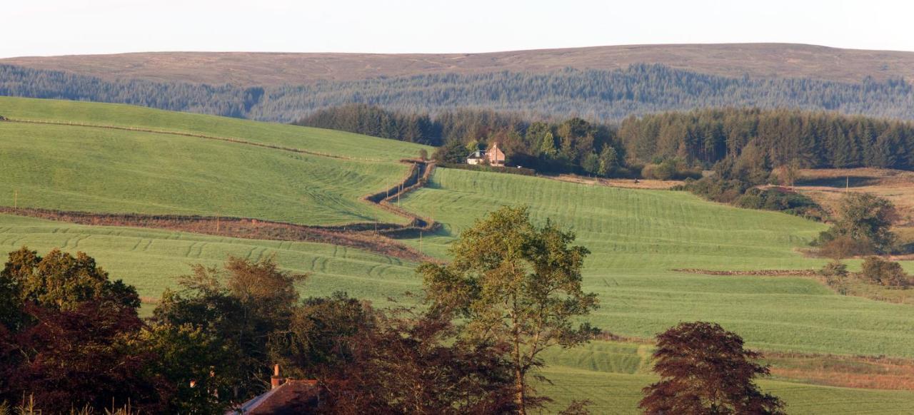 The Steading, Back Borland
